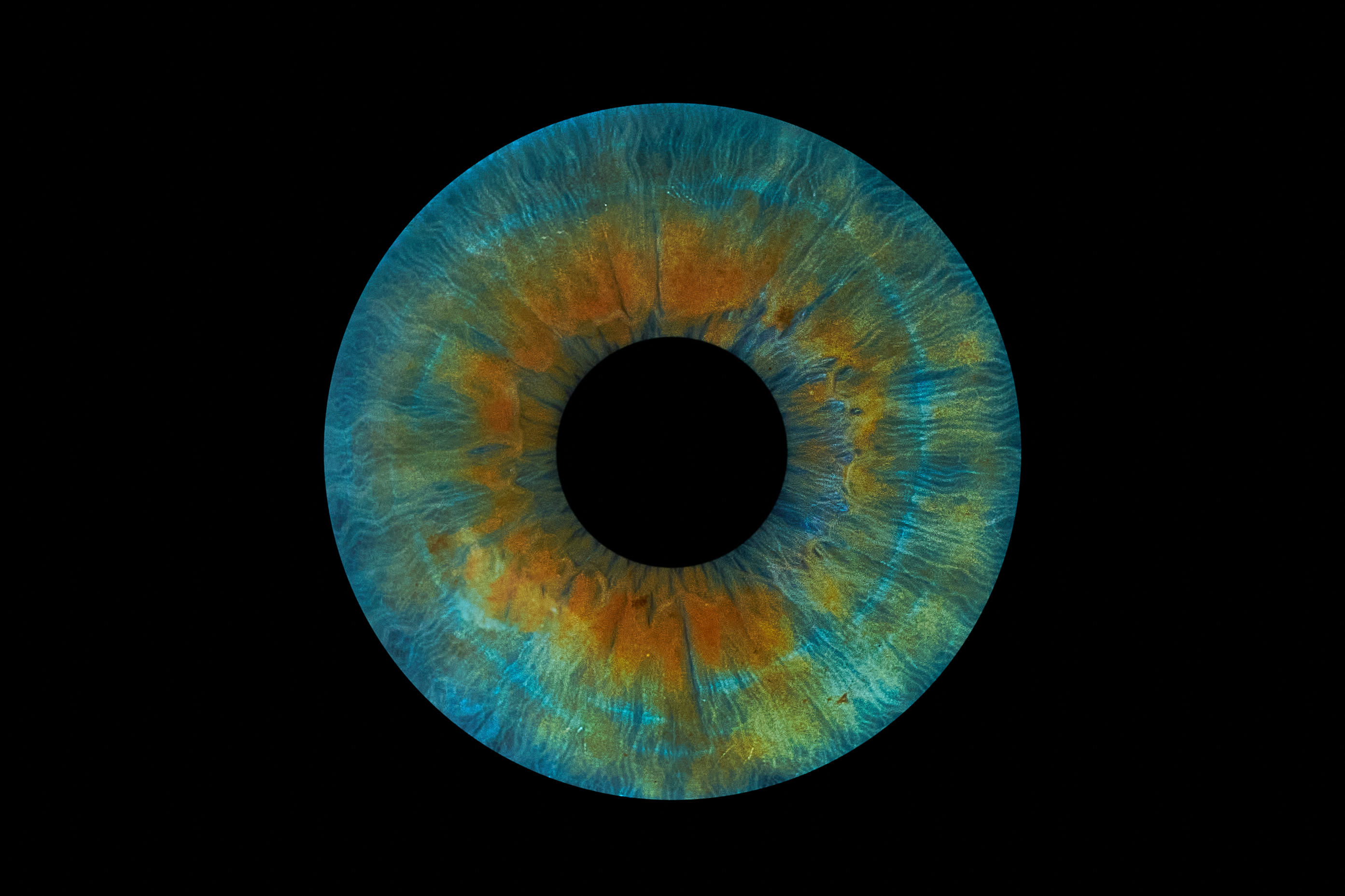 Iris-Kunstwerk von Elisa